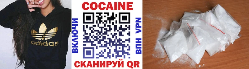 COCAIN FishScale  Купить закладки  Темников