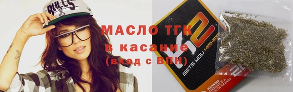 гидра Туринск