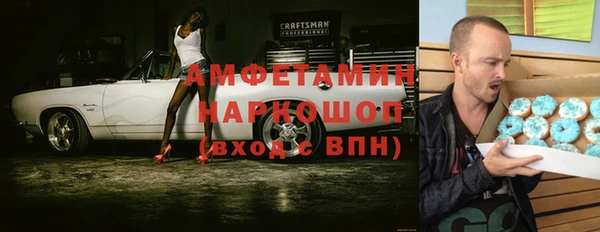 индика Тутаев
