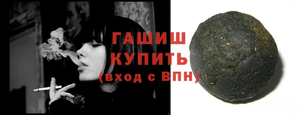 гидра Туринск