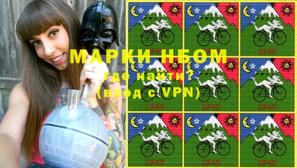 индика Тутаев