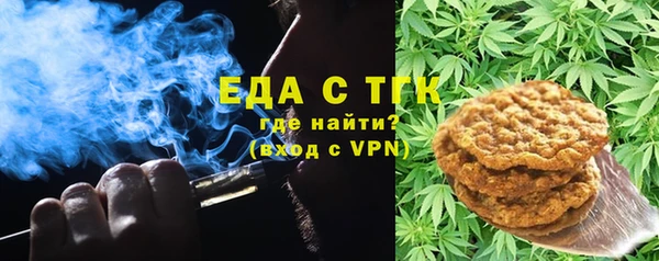 индика Тутаев