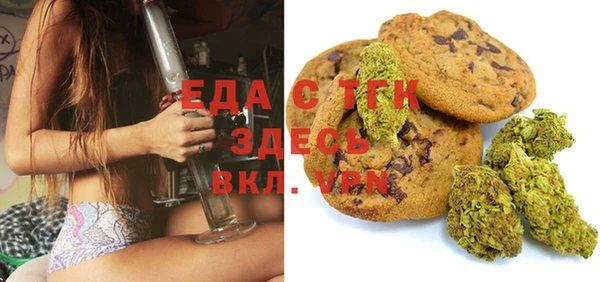 индика Тутаев