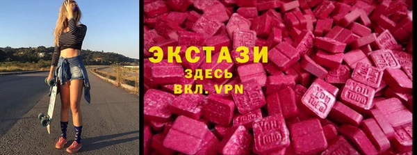 гидра Туринск