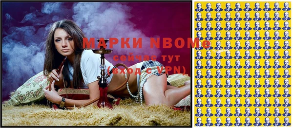 гидра Туринск