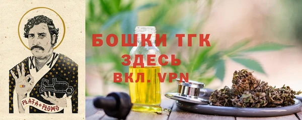 индика Тутаев