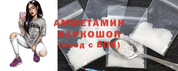 индика Тутаев