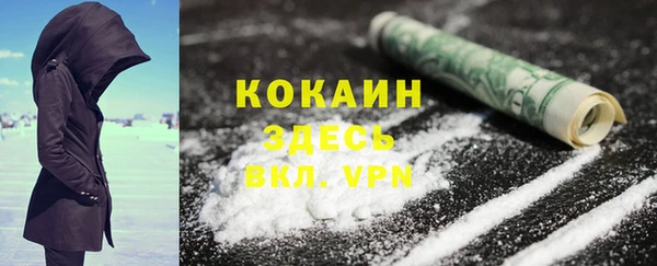 гидра Туринск