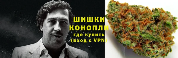 индика Тутаев