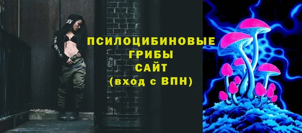 гидра Туринск