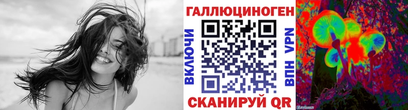 Купить закладки  Темников  Псилоцибиновые грибы мицелий 